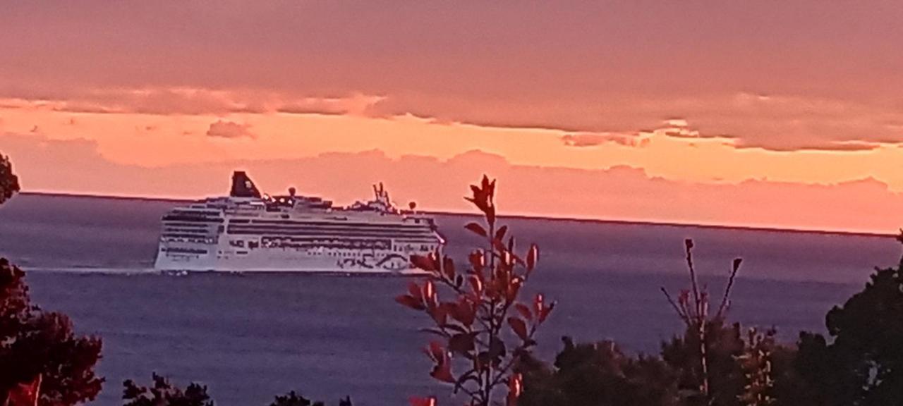 Vila Pogled Бар Номер фото